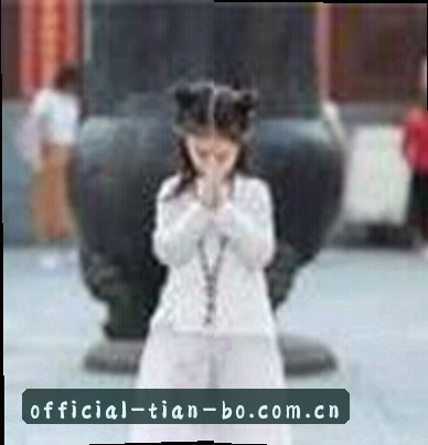 赵敏